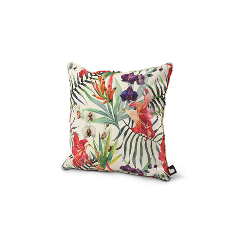 B Cushion Art Collection